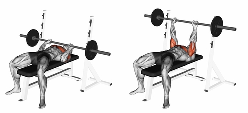 How to do Barbell Bench Press!