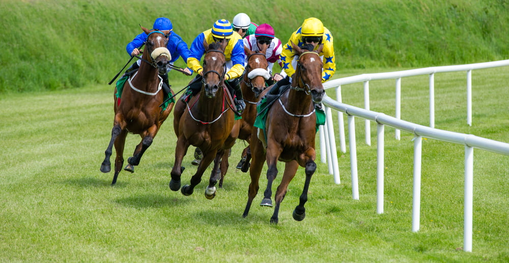 Wetherby Racing Tips 19/03/2019
