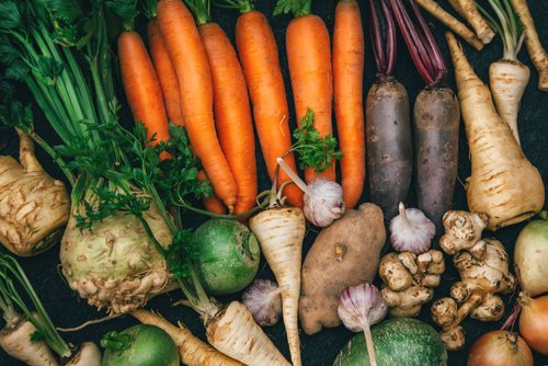 A Guide to Growing Root Vegetables