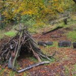 How to Build a Den