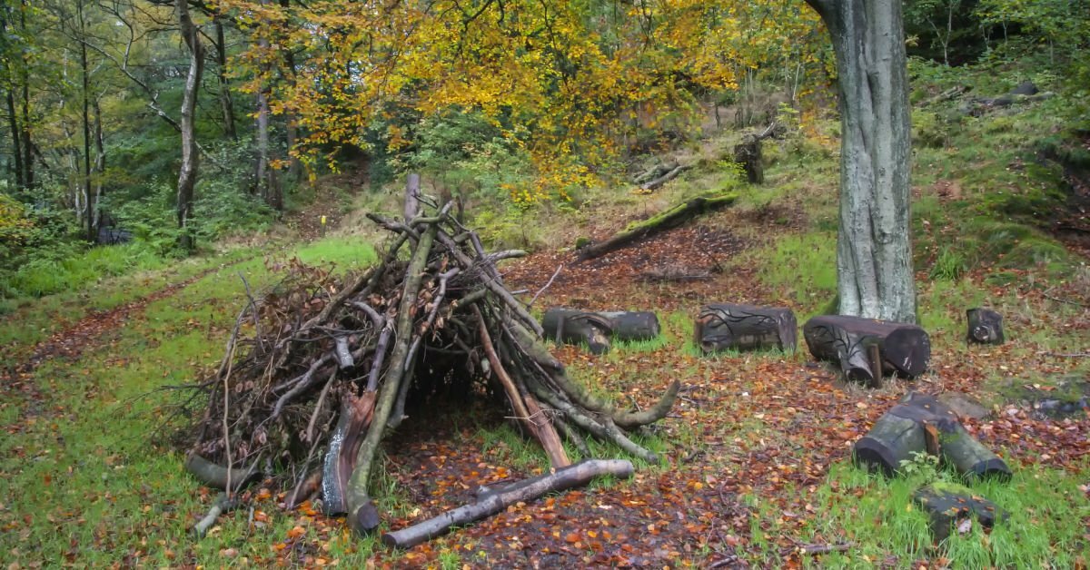 How to Build a Den