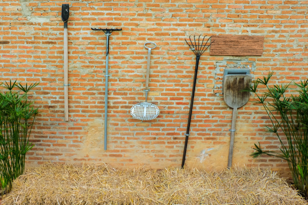 Five Instant Tricks to Liven up a Dull Boundary Wall.