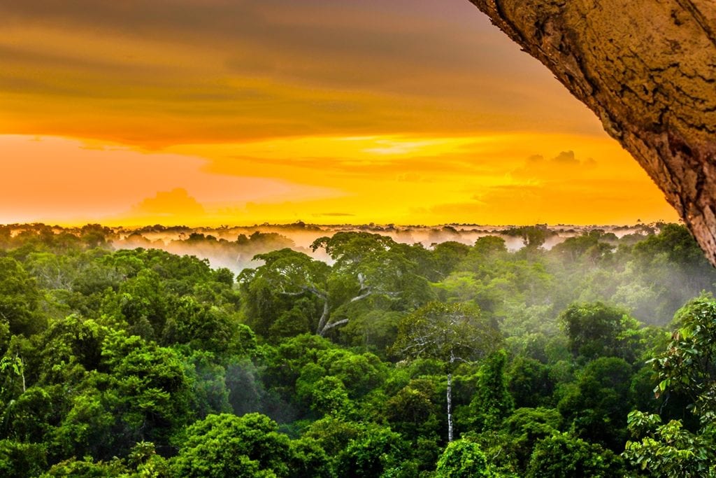 Brazil’s New President Bolsonaro Merging Department of Environment & Agriculture