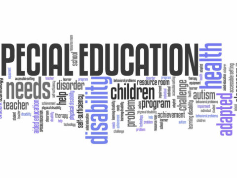 Funding for pupils with special educational needs drops by 17%