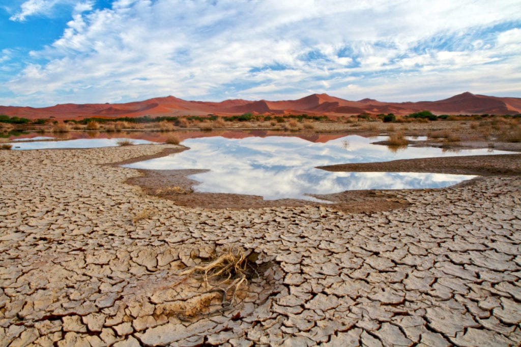 State Of Emergency In Namibia As Rains Fail To Materialise