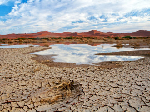 State Of Emergency In Namibia As Rains Fail To Materialise