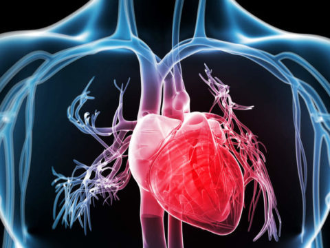 UK heart disease deaths on the rise