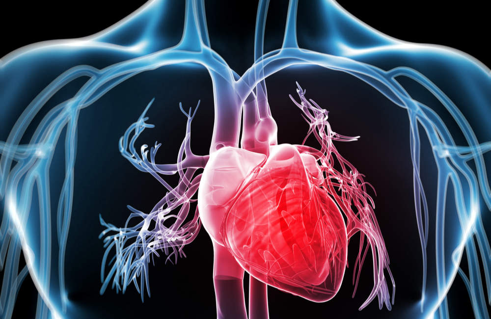 UK heart disease deaths on the rise