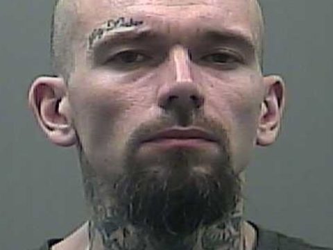 Man Trained ‘Attack Squirrel’ By Giving It Meth