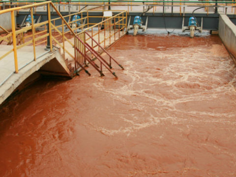 Southern Water Lying Again On Its Waste Water Operations