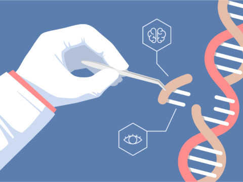 You Will Probably Have One Of These Genetic Mutations