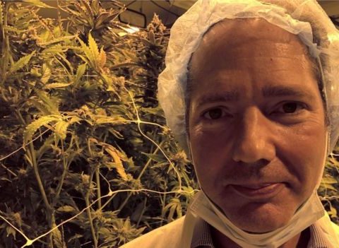 Cannabis ‘to be legalised in the UK’ within five to ten years, say MPs