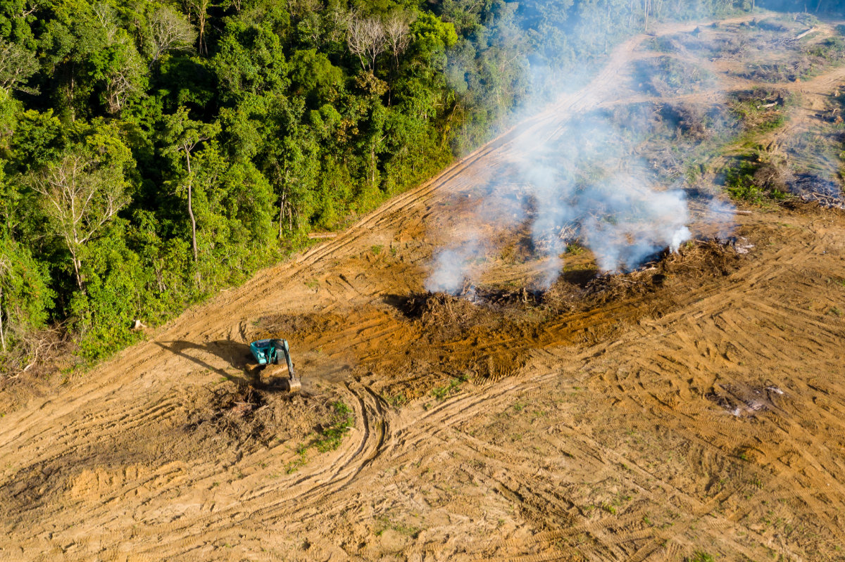 President Bolsonaro In Denial Re Deforestation