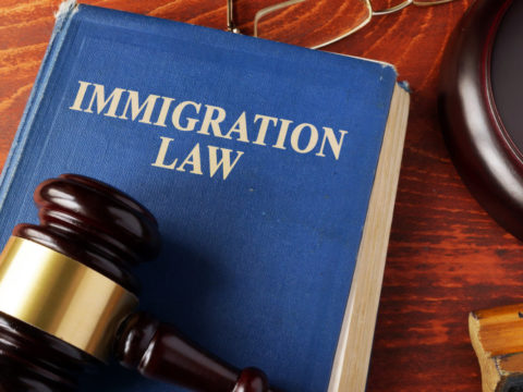 US To Expand Deportation Powers To Fast Track The Process