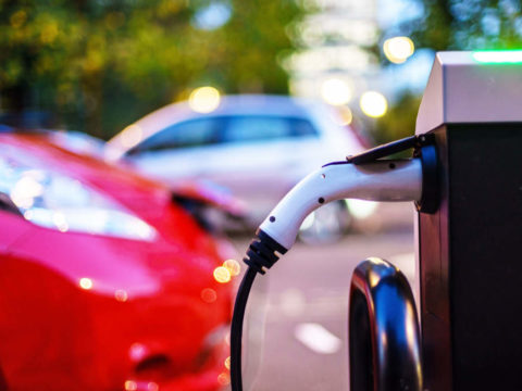 Electric cars ‘will not solve transport problem’.