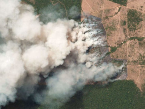Brazil and France clash over the burning Amazon rainforest
