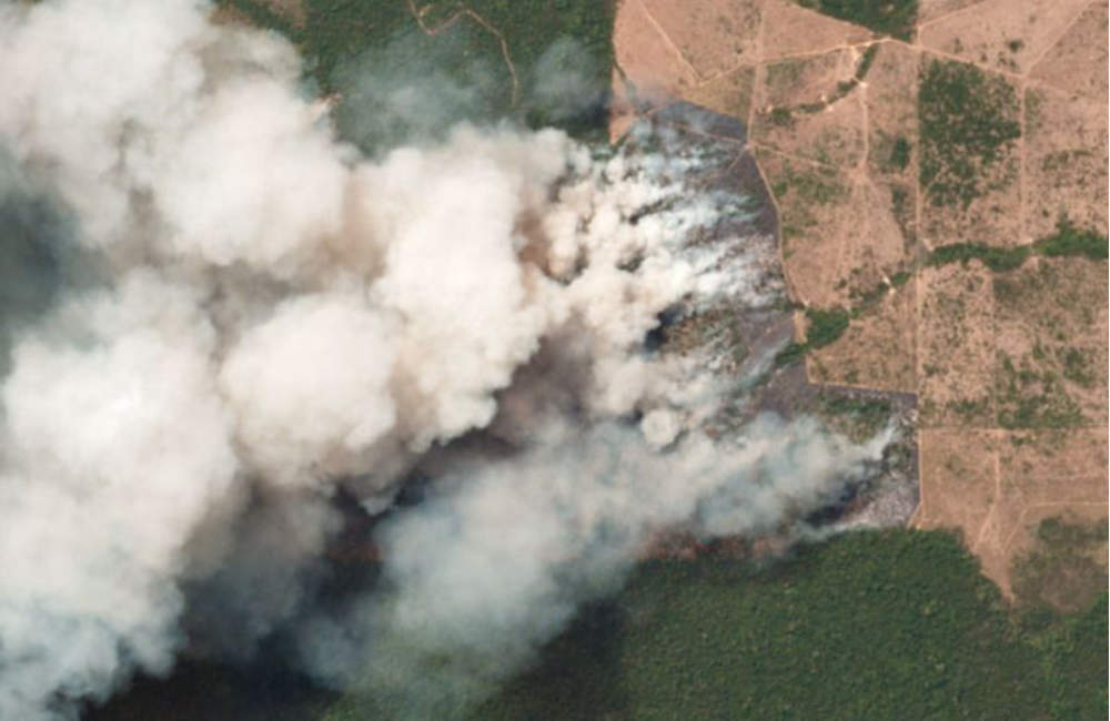 Brazil and France clash over the burning Amazon rainforest