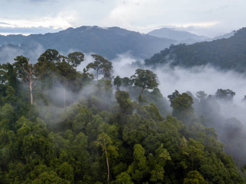 Brazil to reject G7’s £16m Amazon aid plan