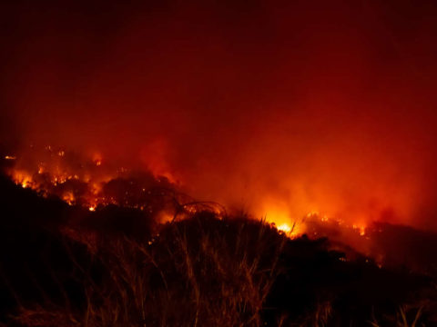 Bolivia Some Wildfires Under Control For Now