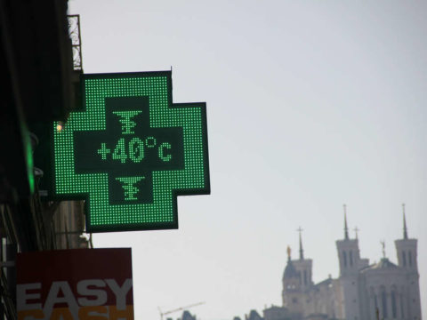 Heatwaves in France caused 1,500 deaths