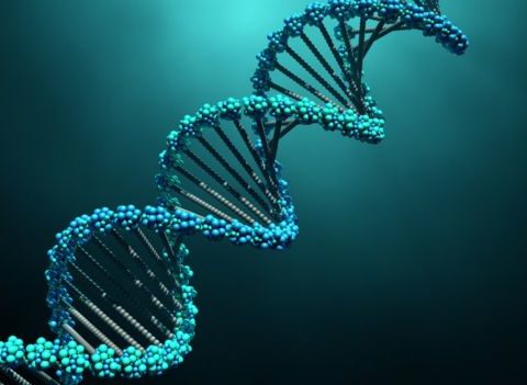 Experts Urge Caution Over Home Genetic Tests