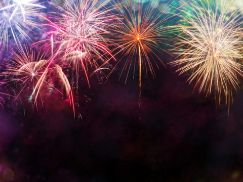 Puppy Sadly Dies After Fireworks Display Fright