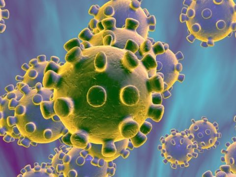 Under 1,000 Infected Cases!