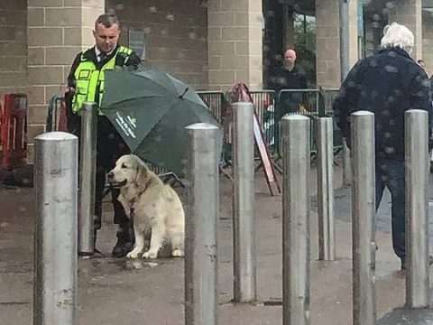 Security Guard Praised For Sheltering A “Good Boy”