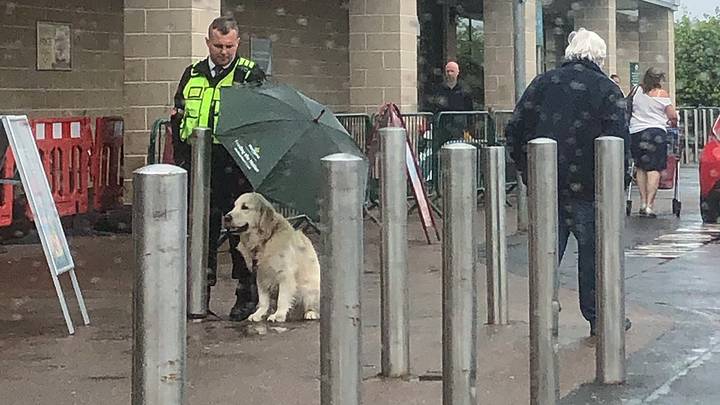 Security Guard Praised For Sheltering A “Good Boy”