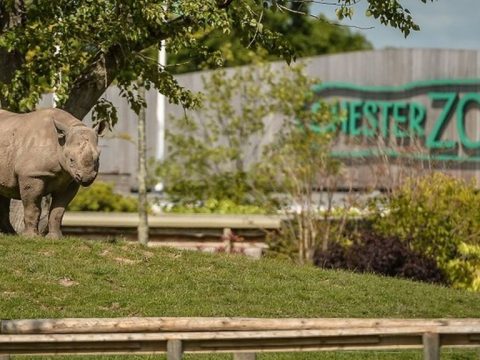 Chester Zoo Thanks Everyone For Their Support