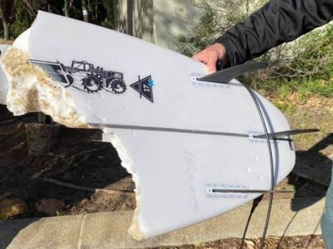 Surfer Attacked By Shark In Western Australia