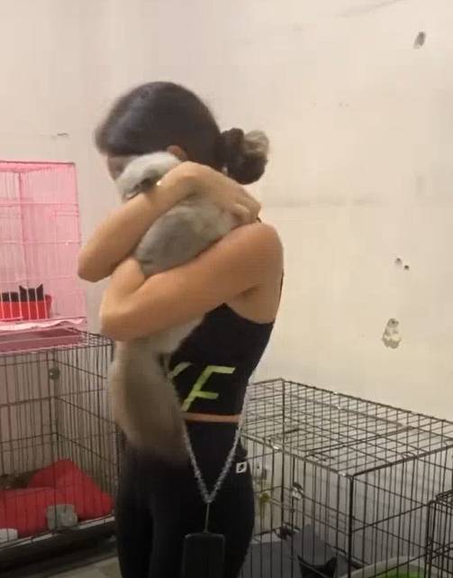 The Charity Reuniting Pets With Owners In Beirut!