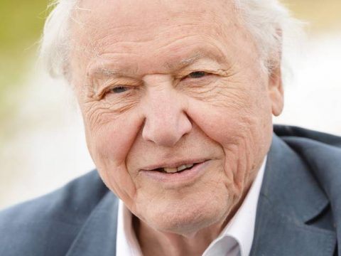 David Attenborough Breaks Instagram World Record