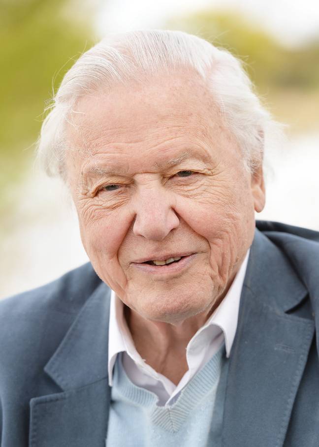 David Attenborough Breaks Instagram World Record