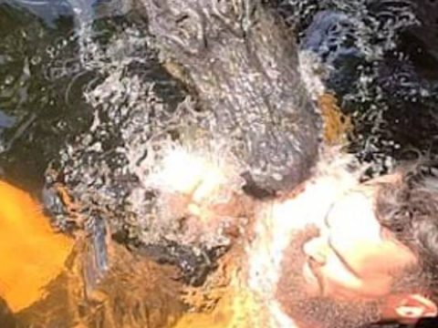 Man “Nibbled” By Alligator Pal Whilst On Holiday