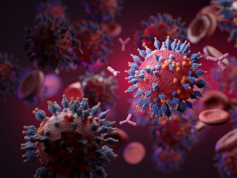 Care Home Covid-19 Rules!