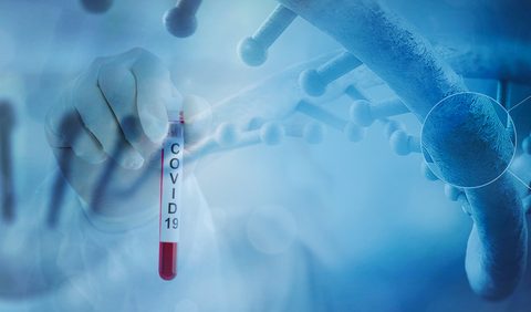 UK Covid-19 Updates!