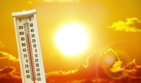 National Emergency Declared After Heat Warnings!