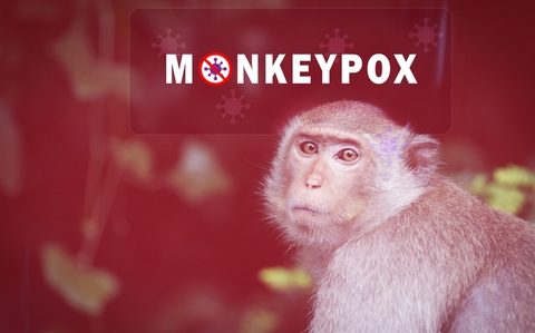 US Declares Monkeypox as Public Health Emergency!