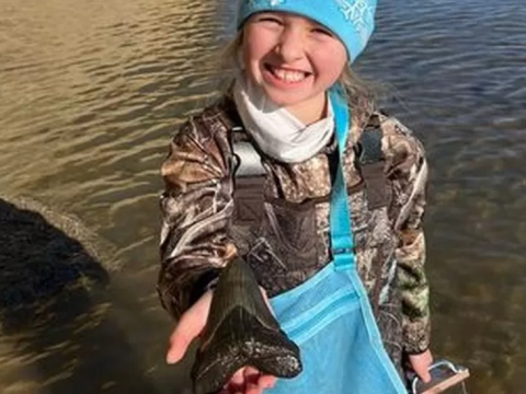 Girl Aged 9 Finds Megalodon Tooth!