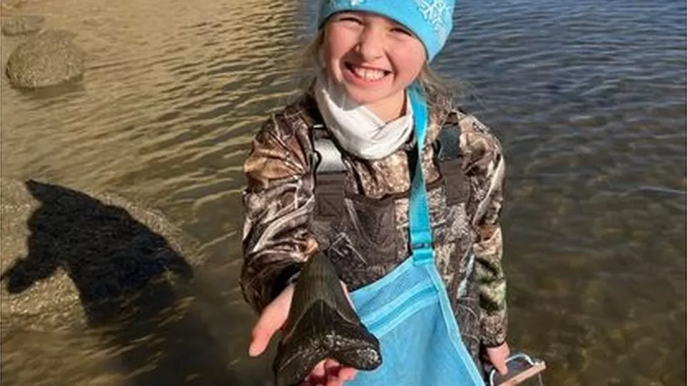 Girl Aged 9 Finds Megalodon Tooth!