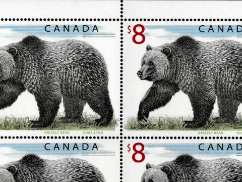 Animal Stamps To Look For Canada’s $8 Grizzly Bear From 1997