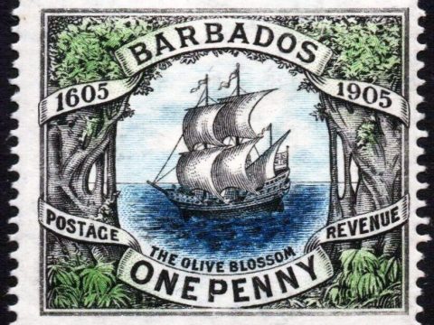 Iconic Stamps Barbados 1906 1d Olive Blossom