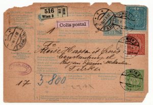 Austria 1917 Parcel Card
