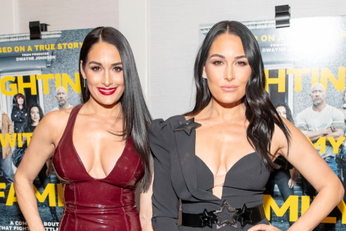 Nikki Bella Says She Will Wrestle Again!